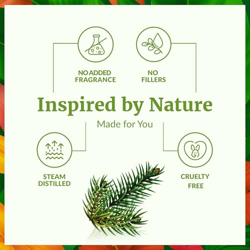 Image of SVA Organic Fir Balsam Essential Oil with Dropper, 4 Fl Oz (118 ml) | Fir Balsam Essential Oil for Diffuser, Room Spray, Home Fragrance, Soap, Candle, Bath Blends & DIY Blending in Glass Bottle