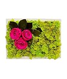 Quadro con lichene stabilizzato e tre rose fuxia con cornice bianca, altri colori disponibili specificandolo sull'ordine.
