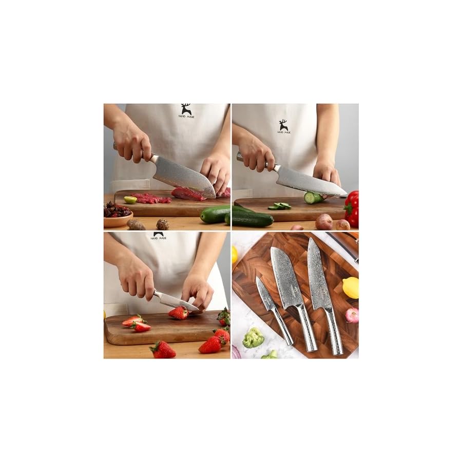 Damascus-Kitchen-Knife-Set-with-Block-4-Pieces-Knife-Block-Set-with-Hammered-Patterns-Ergonomic-Handles-67-Layer-Handmade-Damascus-VG10-Steel-Core-NF-D0519T-4B Damascus Kitchen Knife Set with Block, 4 Pieces Knife Block Set with Hammered Patterns Ergonomic Handles, 67 Layer Handmade Damascus VG10 Steel Core NF-D0519T-4B