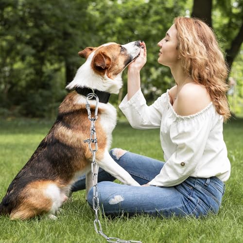 Satisfactorily Correntes de coleira para cães de aço inoxidável 304 elos de corrente de metal de 4,5