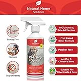Pee Stop Spray Big Value 1L Urine Stop for Cat Dog Enzyme Urine Destroyer Repellent Stop Cats Dogs Repeat Marking Indoors Outdoors 100% Natural - Image 2