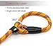 Coolrunner Dog Rope, 5 FT Slip Lead, Adjustable Pet Nylon Leash for Small Medium Dogs 10-80 lb Walking(Yellow)