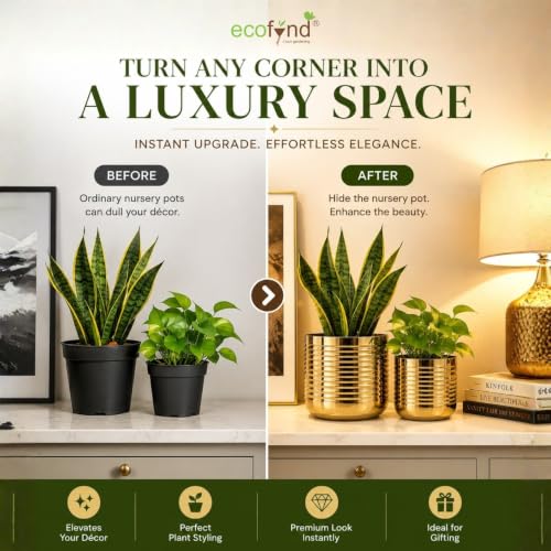 Image of ecofynd 2 Pack Metal Plant Pots (6 inch, 5 inch), Indoor Small Planter Flower Pots, Home Garden Decor Planter for Living Room Bedroom Interior (Gold Finish, POT052)