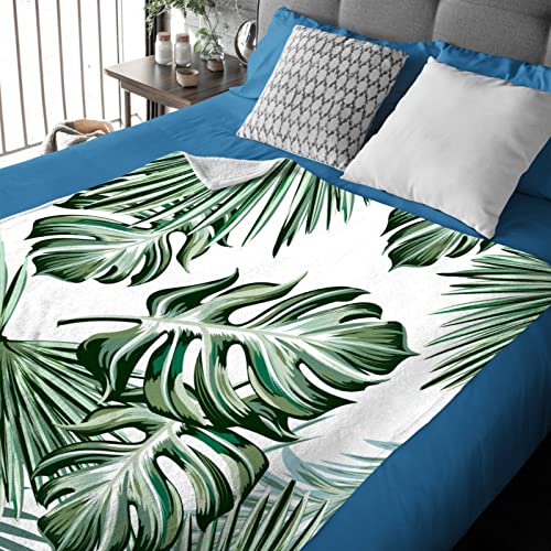 Softerhug Blanket Monstera Deliciosa Palms Tropical Plants Soft Cozy Throw Lightweight Microplush Blankets For Couch Bed Sofa All Season Warm-50 Inchx40 Inch Small For Kids thumb #2