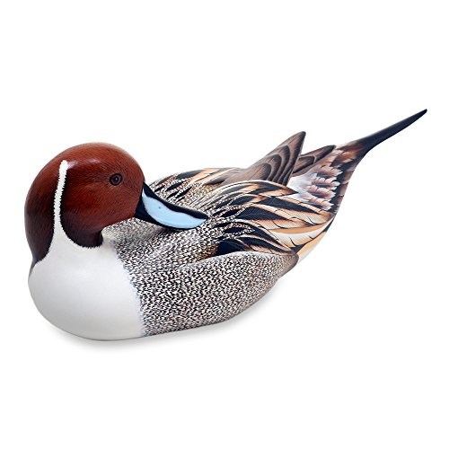 NOVICA Brown Animal Themed Albesia Wood Sculpture, 4.9   Posing Pintail Duck 