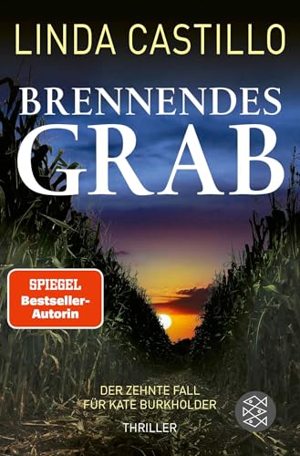 Brennendes Grab 359670426X Book Cover