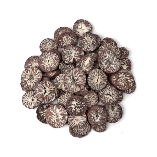   FP rE 60g n[uuh ؍Y   Zbg M n[u