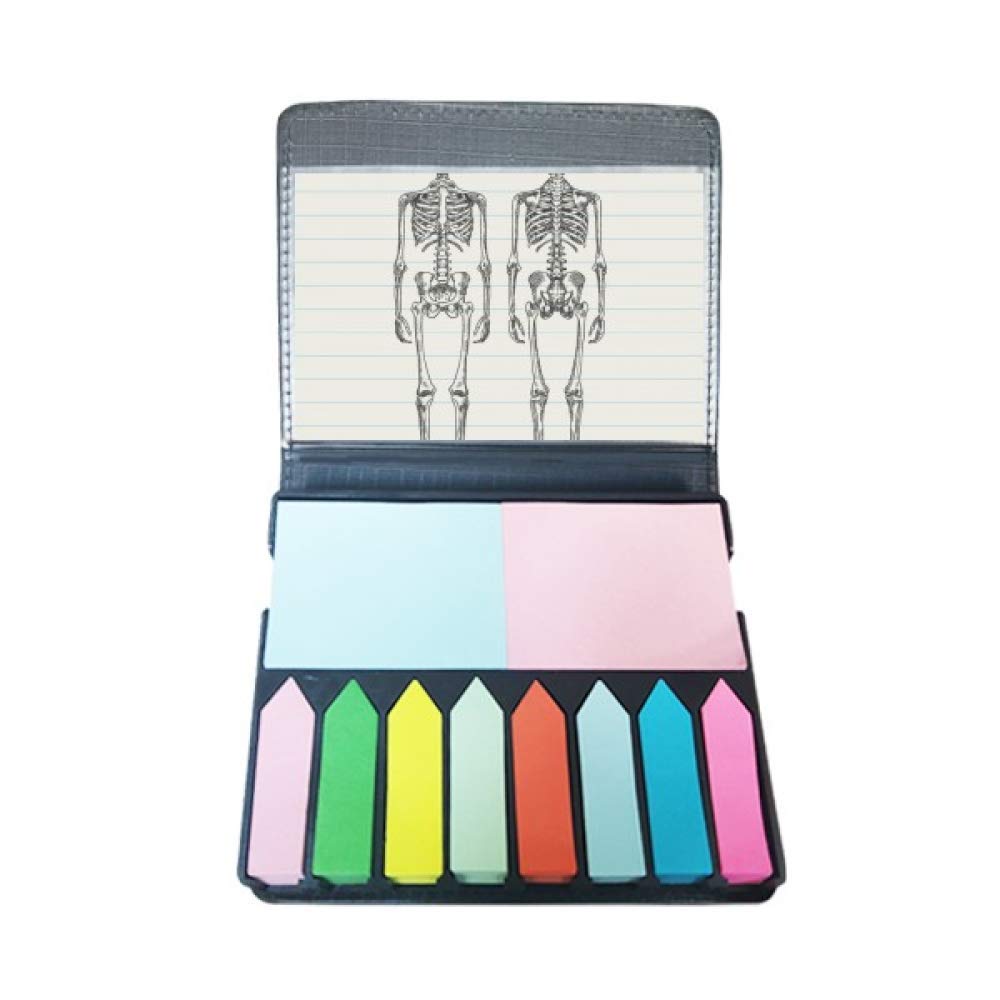 Boîte de marque-page squelette auto-adhésive pour trier vos cours d'anatomie - 5