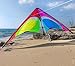 Prism Kite Technology Quantum 2.0 Spectrum Dual-line Stunt Kite