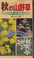 日本の山野草 : ポケット図鑑 日本の山野草 (ポケット図鑑) | 安藤 博 |本 | 通販 | Amazon