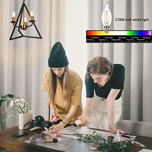 Winbomgo Candelabra Led Light Bulbs E12 Dimmable 2700K Warm White 25 Watt Incandescent Equivalent Cri 85+ 250Lm Flame Tip Shape Ca11 Shape For Chandelie/Ceiling Fans 6-Pack #TOP3