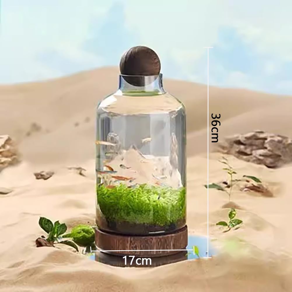 Acquario di Vetro con Base in Legno, Serbatoio di Pesce di Micro Ecosfera, Intestino di Pesce Betta A Forma di Bottiglia Trasparente, Acquario Ecologico Micro-Paesaggio,M