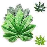 USO AMPLIO: el diseño de hoja octogonal es adecuado para todas las ocasiones, como bodas, restaurantes, baby showers, inauguraciones de casas, fiestas de cumpleaños, graduaciones, barbacoas y cenas. Especialmente indicado para colocar fruta para que luzca bonita y natural.
