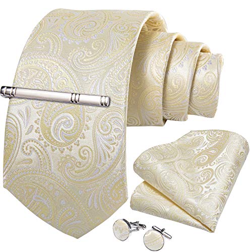 Image of DiBanGu Paisley Ties for Men Silk Necktie and Pocket Square Cufflinks Tie Clip Set Woven Classic Mens Tie for Wedding Party