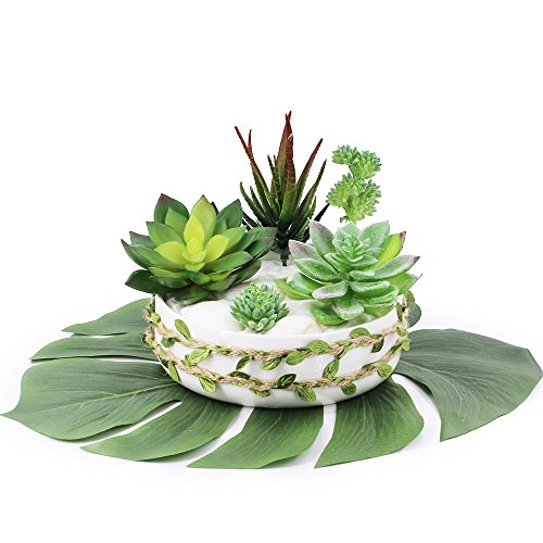 Supla 5 Pcs Assorted Artificial Succulents Plants Unpotted Small Green Cactus Echeveria Picks Fake Succulents Bulk For Succulent Garden Centerpiece Wreath Floral Arrangement Indoor Outdoor Home Décor #TOP2