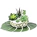 Supla 5 Pcs Assorted Artificial Succulents Plants Unpotted Small Green Cactus Echeveria Picks Fake Succulents Bulk for Succulent Garden Centerpiece Wreath Floral Arrangement Indoor Outdoor Home Décor