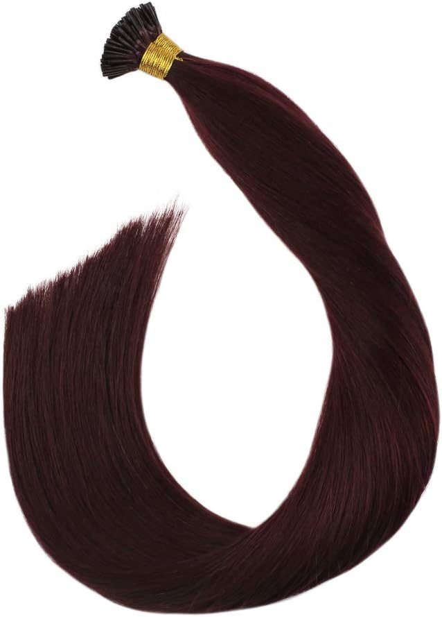 Ugeat 22inch I Tip Keratin Hair Extensions 100% Human Hair 40Gram 0.8g/Strand Red Wine #99J Pre Bonded Keratin Stick Tip Human Hair Extensions