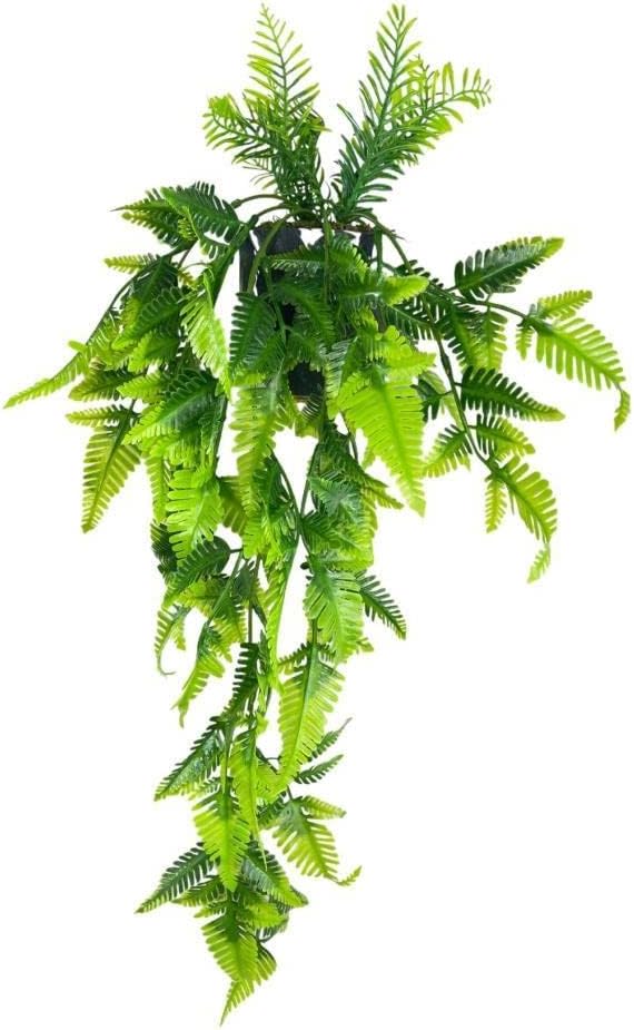 Yapay Çiçek Sarkan Boston Fern Yapraklı Bitki Küçük Siyah Saksıda Yapay Sarmaşık 55cm