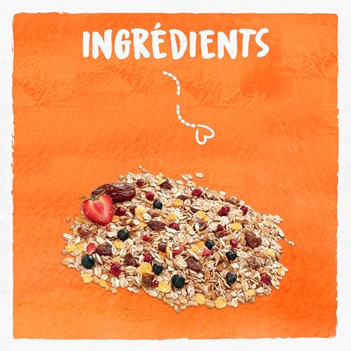 Bjorg muesli protéines soja dattes fruits rouges bio - vue 8