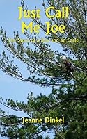 Just Call Me Joe: The Story of a Boy and an Eagle 1506180434 Book Cover