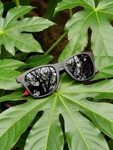 Image of PIRASO Wayfarer, Clubmaster, Sports Sunglasses (For Men & Women, Black, Red)(FT KC BLACK RED)
