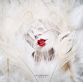 TVアニメ『機動戦士ガンダム 鉄血のオルフェンズ』第2期エンディング主題歌「少年の果て」(初回限定盤)(DVD付)