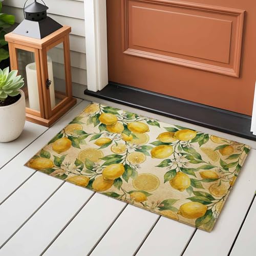 Tapete decorativo 2x3 pie lavable antideslizante miniatura 2