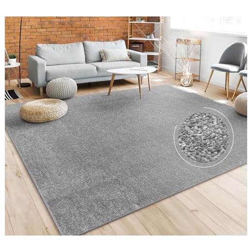 Paco Home Tapis Salon Uni Sobre Et Moderne Poils Ras, Diff. Tailles/Coloris, Dimension:60x100 cm, Couleur:Anthracite