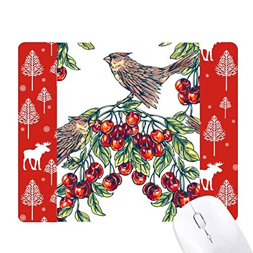 Mangeoire oiseaux anti souris pour fruits verts et décor de Noël