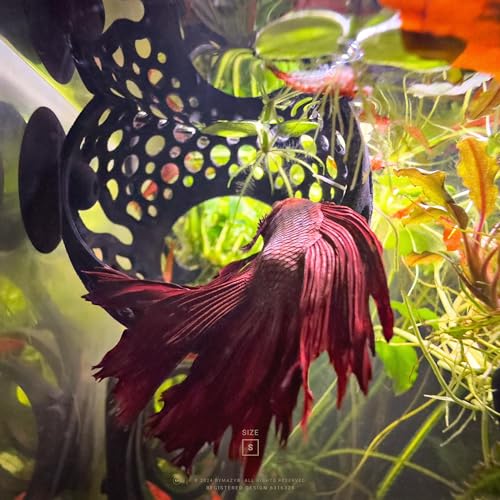 byMazy Betta Höhle Lounge | Aquarium Deko Versteck & Hängematte, Durchschwimm-Tunnel für Betta, kleine Fische, Garnelen – Aquariendeko mit Pflanzenhalter (Schwarz, Klein)
