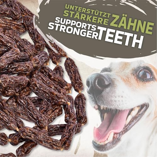Beef Sausage Hundesnacks 1kg (ca. 110-115 Stück) | luftgetrocknete Kausnacks | Eiweißreich & getreidefrei | Fettarm | Hypoallergener Snack für alle Hunderassen