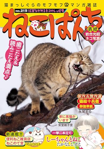 『ねこぱんち No.』