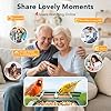 PeckCam® Bird Feeder with Camera Solar Powered, AI Identify & Auto Capture with 32GB Card, 2K HD Live Video Smart Bird Feeder Camera Instant Notifications in Backyard, Gift for Bird Lovers #5