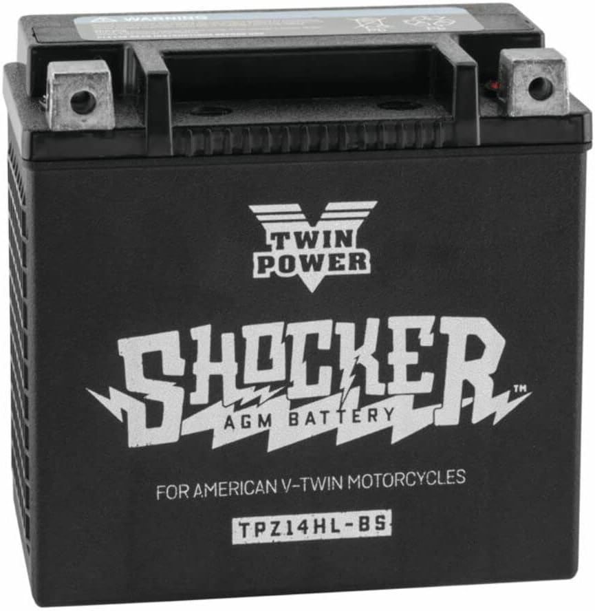 Twin Power Shocker Batteries