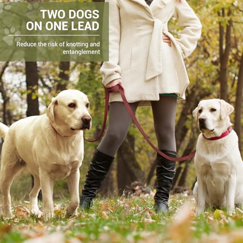 PETCOOZ Hundeleine 2 m Verstellbare Schleppleine mit 2 Karabiner, Verdickte Doppelleine Führleine für Kleine Mittelgroße Hunde, Freihandleinen Übungsleine aus Nylon, Weinrot
