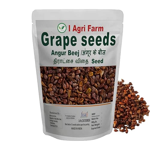 Black Grape Seeds - 250 gram/Angur Beej/Grape Seed