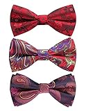 HISDERN Mens 3 Pack Bow Tie Paisley Plaid Dot Pre-Tie Bow Tie Classic Formal Bow Ties for Men Adjustable Bowtie Tuxedo Wedding