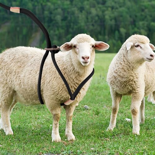 Image of Goat Harness For Walking - Washable Goat Leash And Accessories - Livestock Supplies