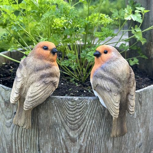 Animal Crackers SET of 2 Robin Plant Flower Pot Hangers novelty garden ornament decoration bird...