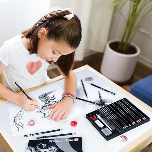 Set profesional de lápices para dibujo 24 piezas miniatura 7