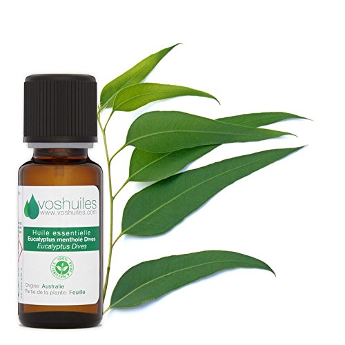 Equalyptus Menthole Esencial Oil - 20 Ml