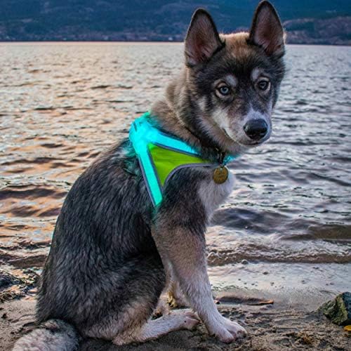 Noxgear harness Clearance