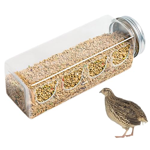 Comedero Para Codornices Transparente - Dispensador De Alimento Para Codornices | Prácticos Comederos Colgantes Para Codornices De 17,2 Cm X 5,5 Cm Con 4 Lindos Puertos De Alimentación Para Osos, Come