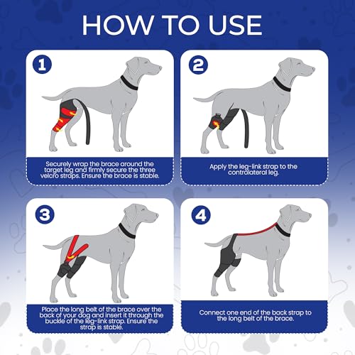 Image of Dog Knee Brace - Test Version (Small)