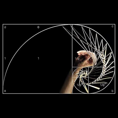 Onda quadrata | il giravento cinetico affascinante...