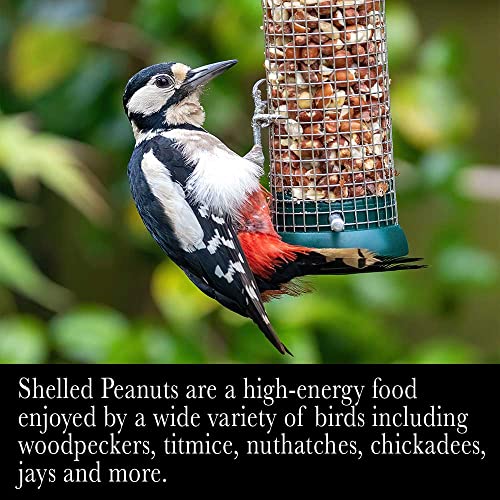 Desert Valley Shelled Peanuts, Premium All Natural Wild Bird and Wildlife Food for Squirrels, Cardinals, Jays and More (5-Pounds) - Thumbnail 3
