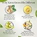 Kava Haven Non Alcoholic Spirit, 750mL Bottle | Kava Kava Drink | Non Alcohol Alternative Spirit for Mixed Drink Recipes | Low Calorie | All Natural | - Lemon Ginger Flavor (17 Servings)