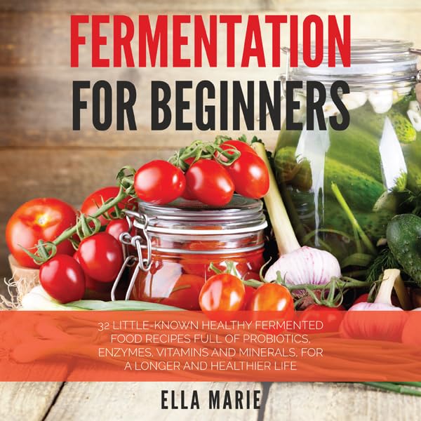 Cover art for Fermentation for Beginners