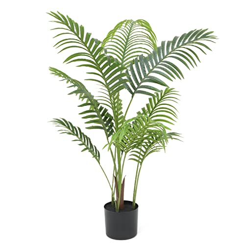 Can Majesty Palms Live Outside? (In Winter?) Conserve Energy Future