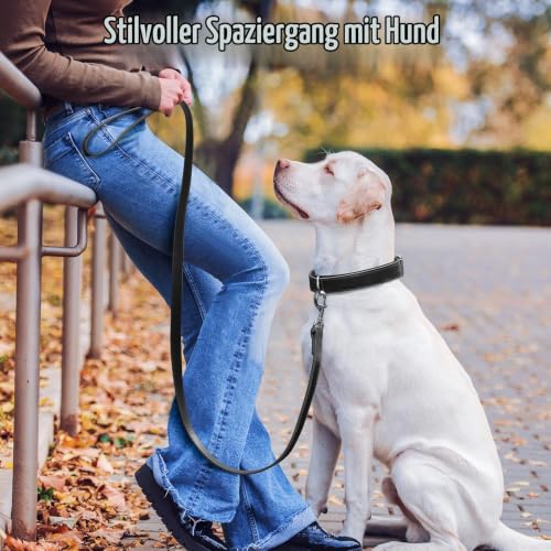 Grand Line Leder Hundehalsband, Lederhalsband Hund mit Weichem Gepolstertes, Breiter und Dicker Hundehalsband, Verstellbares Halsband Hunde für Kleine, Mittlere, Große Hunde (Schwarz, L)